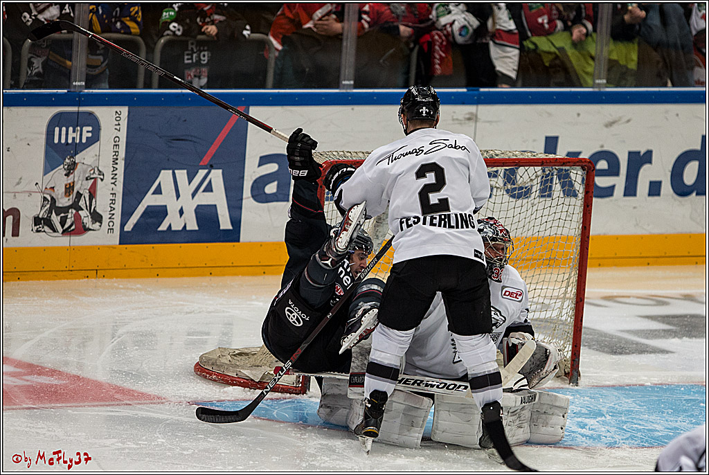 DEL, Koelner Haie - Nuernberg Ice Tiger, 24.01.2017